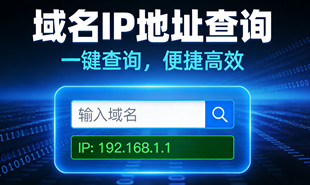 域名IP地址批量查询_在线批量查询网站IP地址_超级蜘蛛池