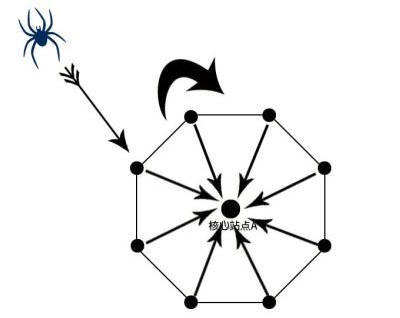 超级蜘蛛池的原理、如何搭建蜘蛛池、蜘蛛池的作用？