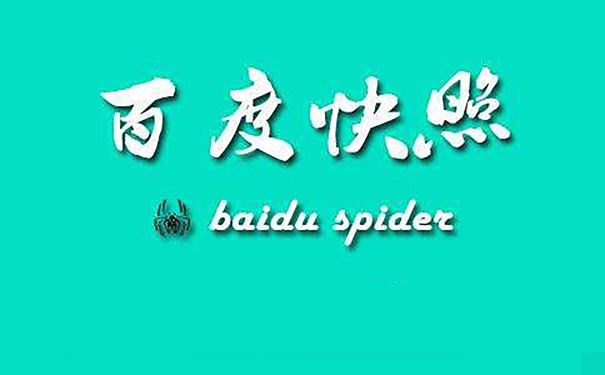SEO运营师分析，网站快照回档是怎么回事？
