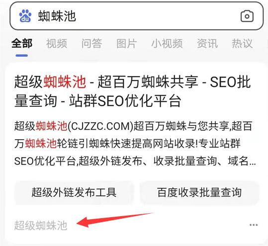 超级蜘蛛池网站域名也被替换成网站品牌名显示