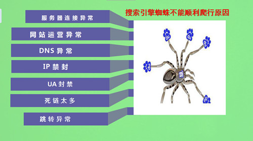 搜索引擎的蜘蛛是如何爬的，如何吸引蜘蛛来抓取页面