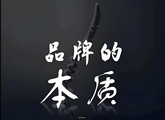 品牌的本质品牌营销与互联网品牌的引导术