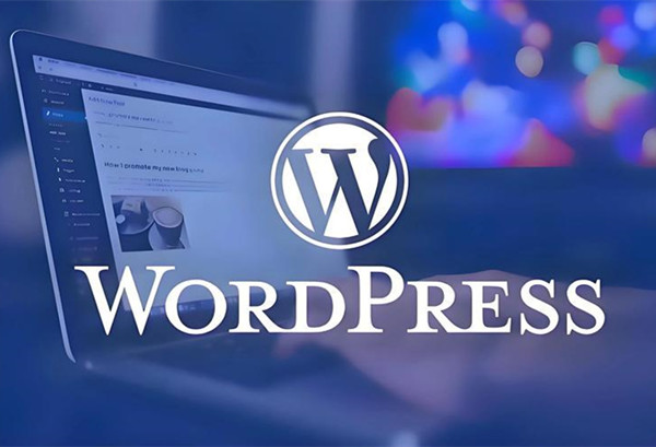 优化WordPress网页结构，快速提升谷歌SEO网站排名